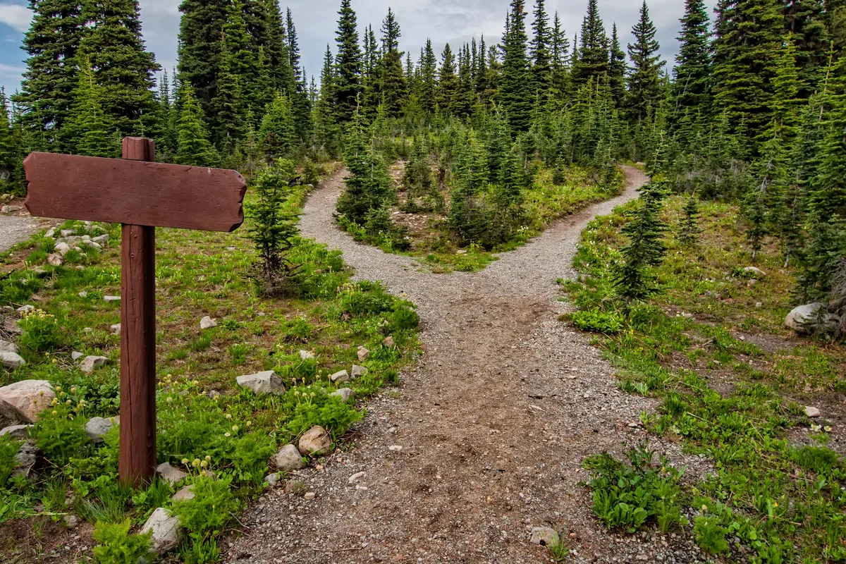 A gravel trail splitting into two paths beside a blank wooden signpost